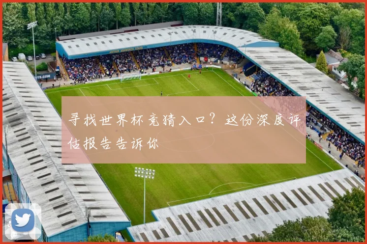 寻找世界杯竞猜入口？这份深度评估报告告诉你