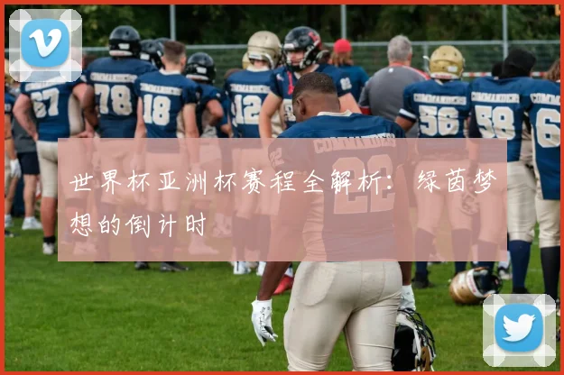 世界杯亚洲杯赛程全解析：绿茵梦想的倒计时