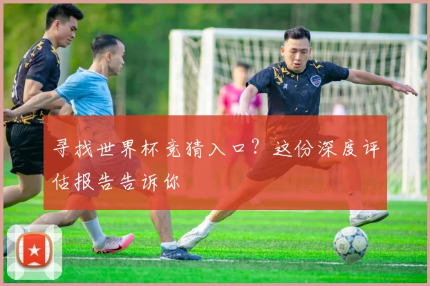 寻找世界杯竞猜入口？这份深度评估报告告诉你