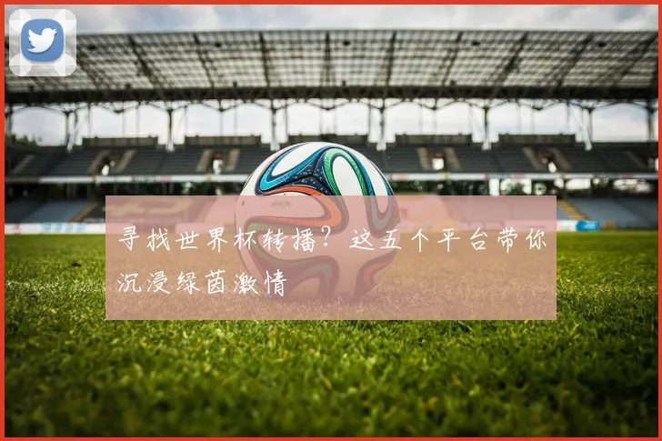 寻找世界杯转播？这五个平台带你沉浸绿茵激情
