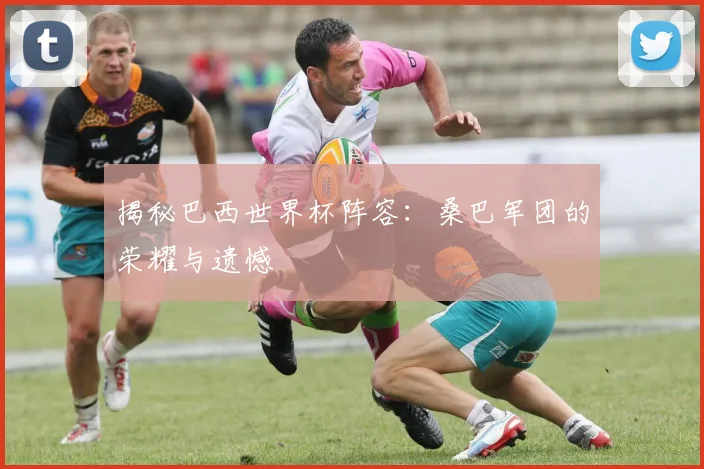 揭秘巴西世界杯阵容：桑巴军团的荣耀与遗憾