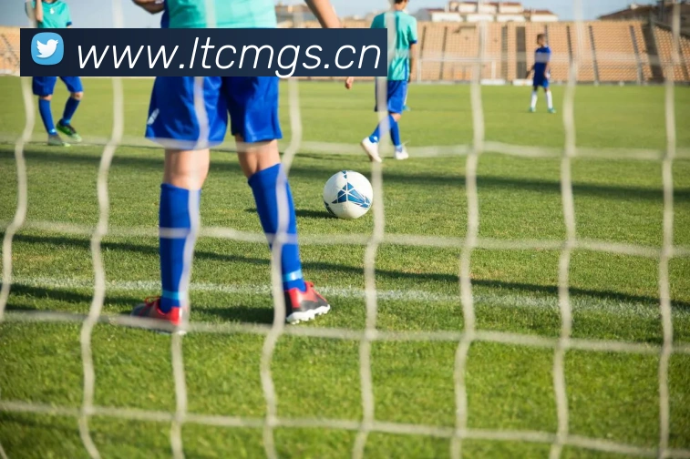 开云kaiyun服务体系